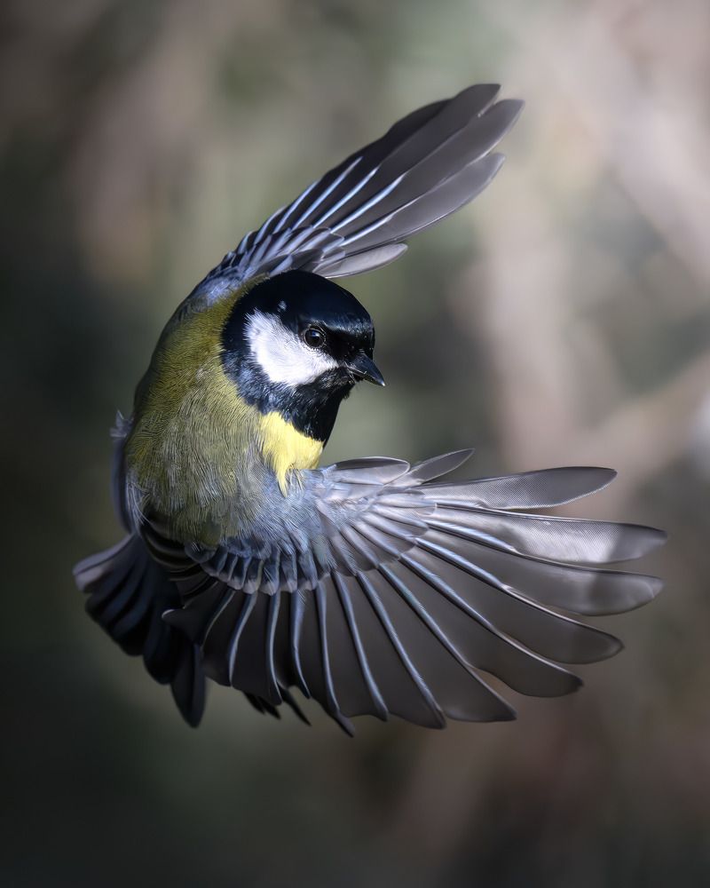 Photograph by Поляков Михаил