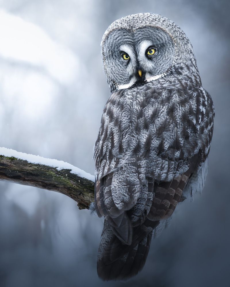 Photograph by Поляков Михаил