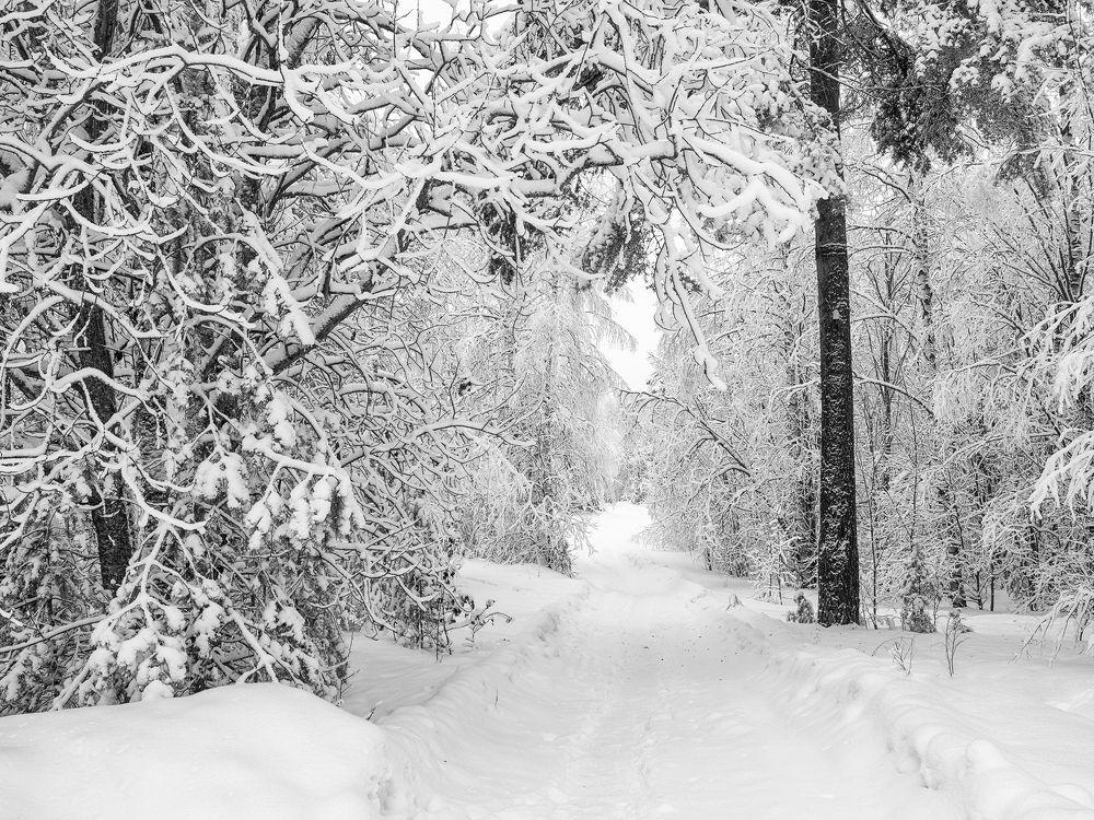 Фотография автора Евгений Кузнецов