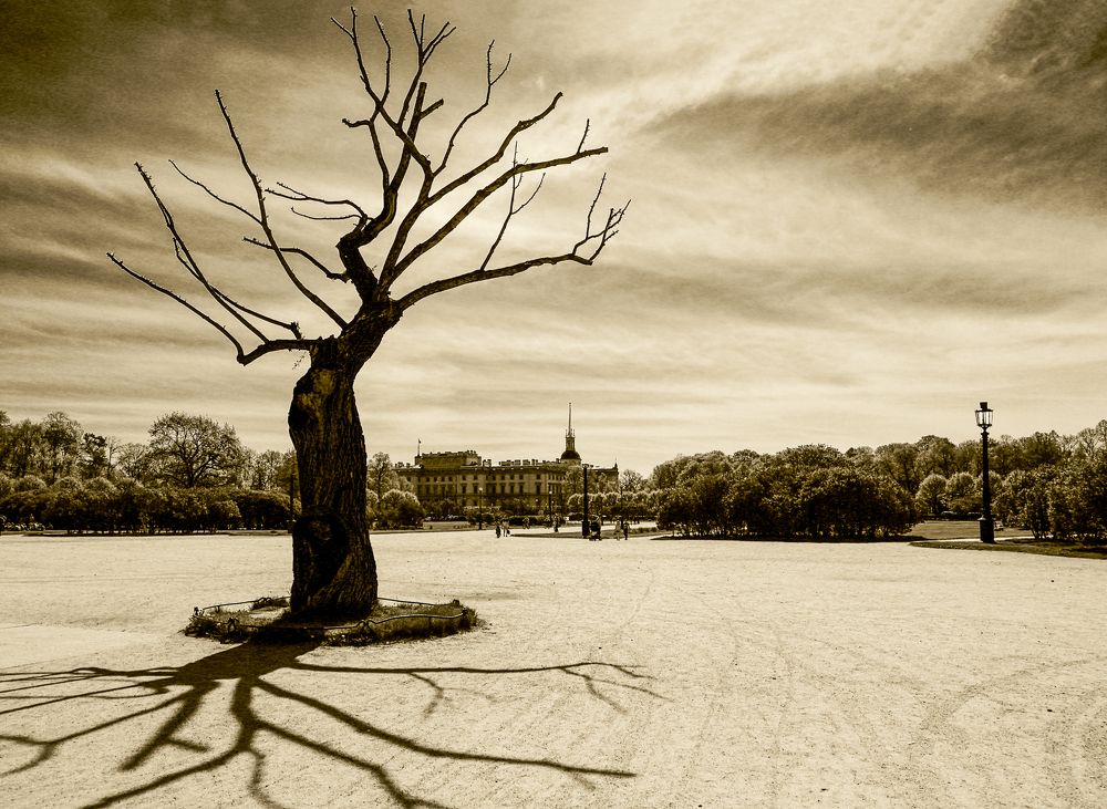 Фотография автора Евгений Кузнецов