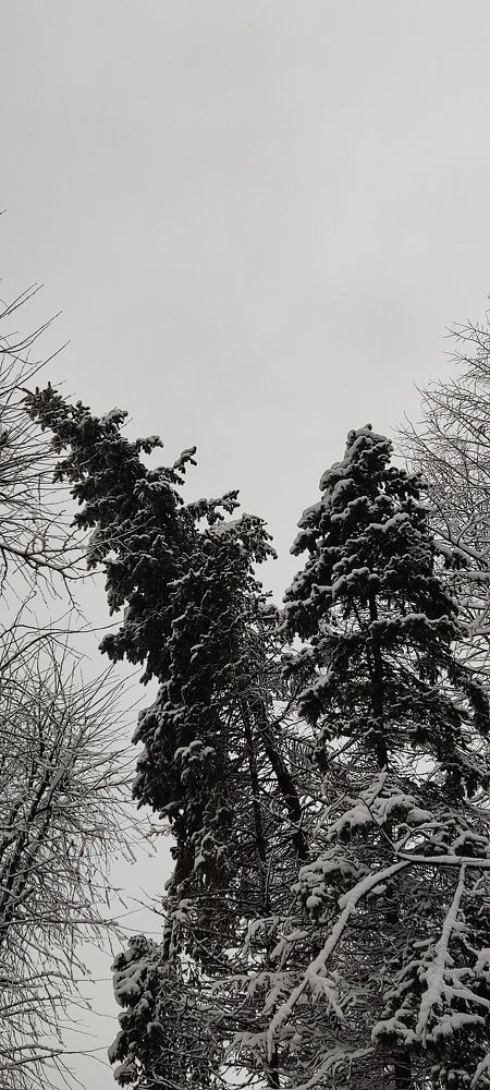 Photograph by Олена Бокова