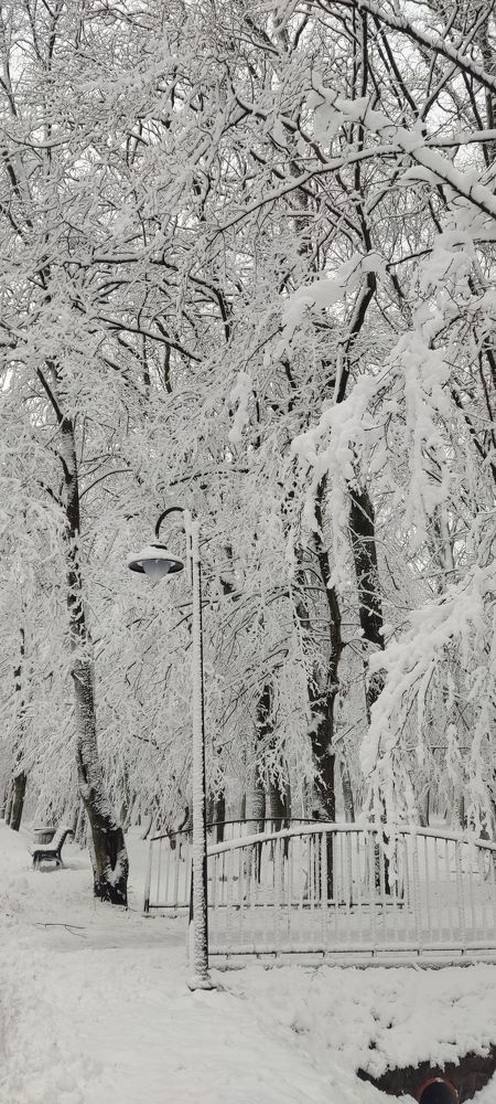 Первый снег