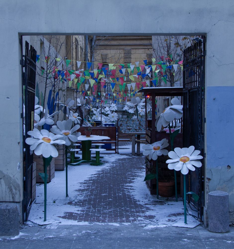 Photograph by Саиди Светлана