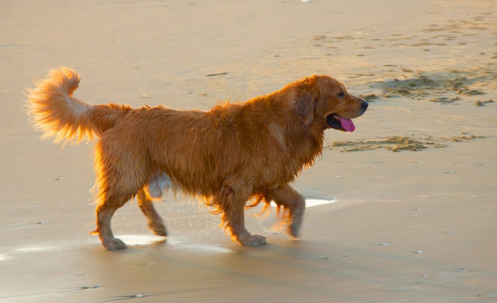 Photograph by Илья