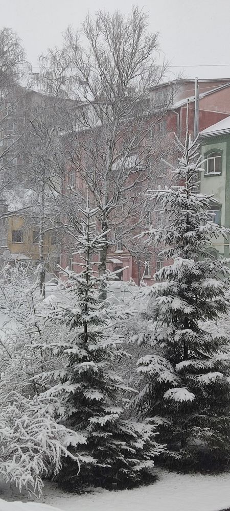 Photograph by Олена Бокова