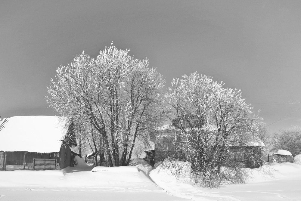 Photograph by Соколова Елена