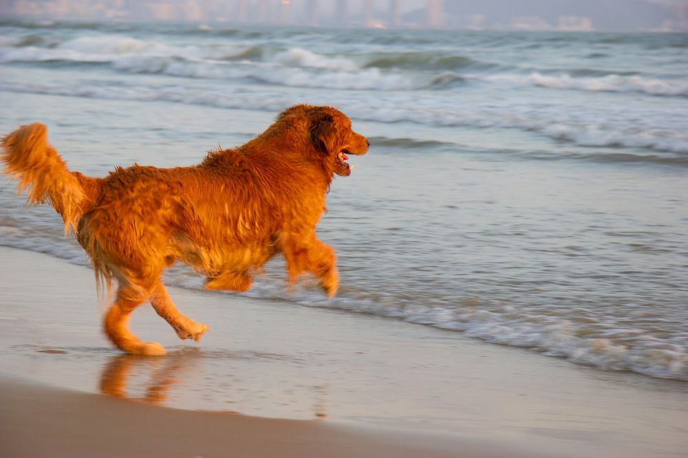 Photograph by Илья