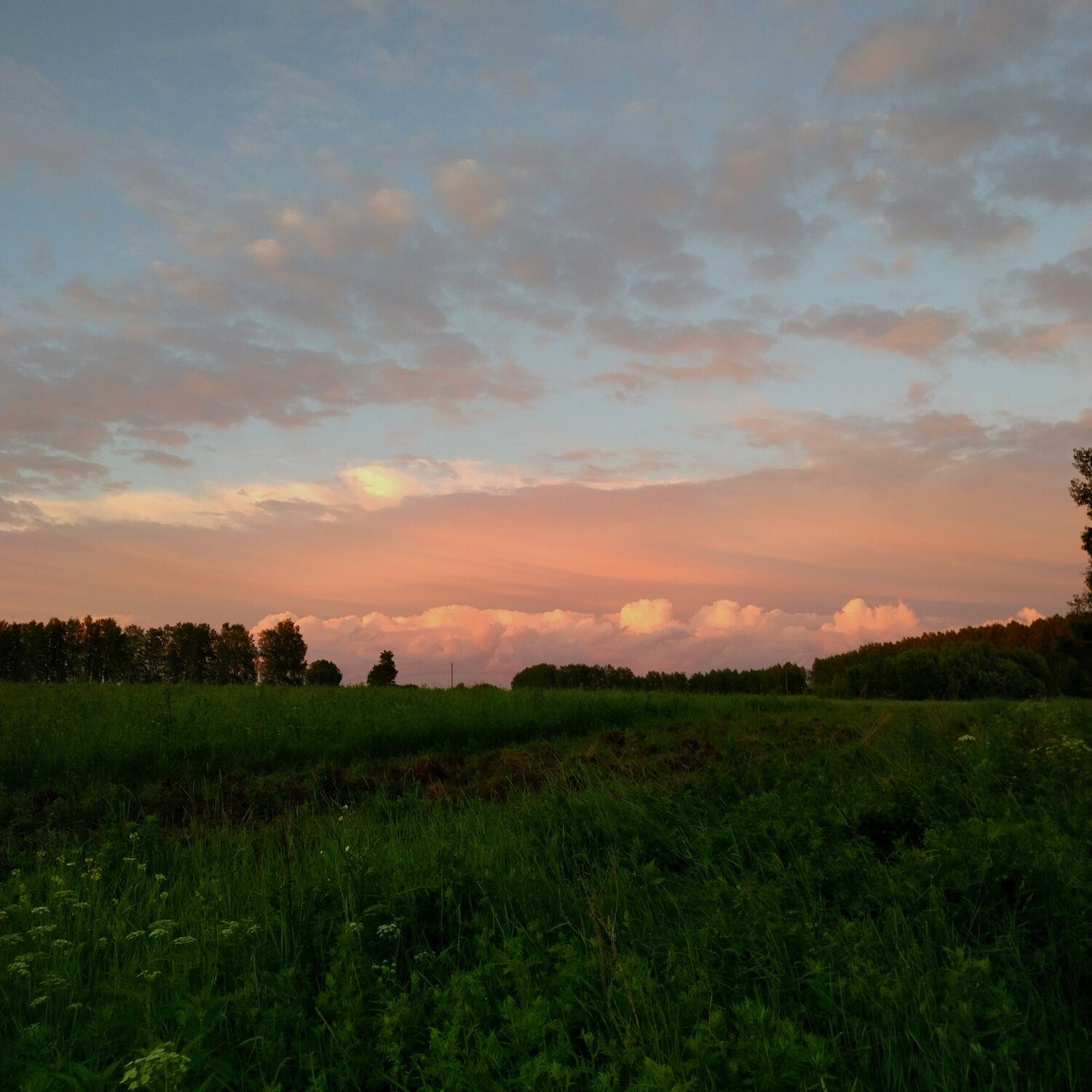 Photo #11635502