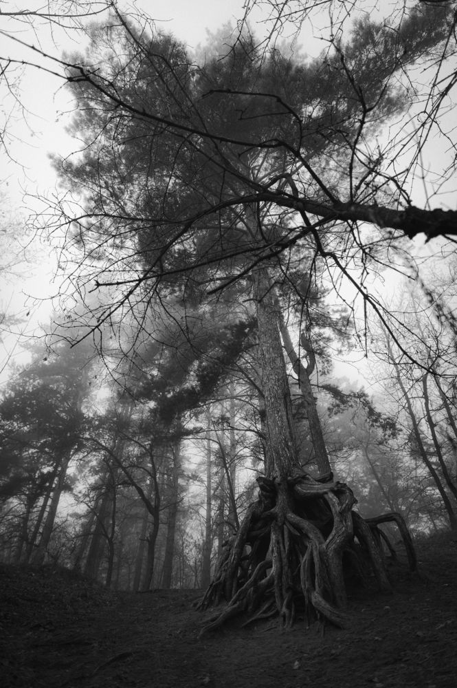 Фотография автора Мигунов Даниил