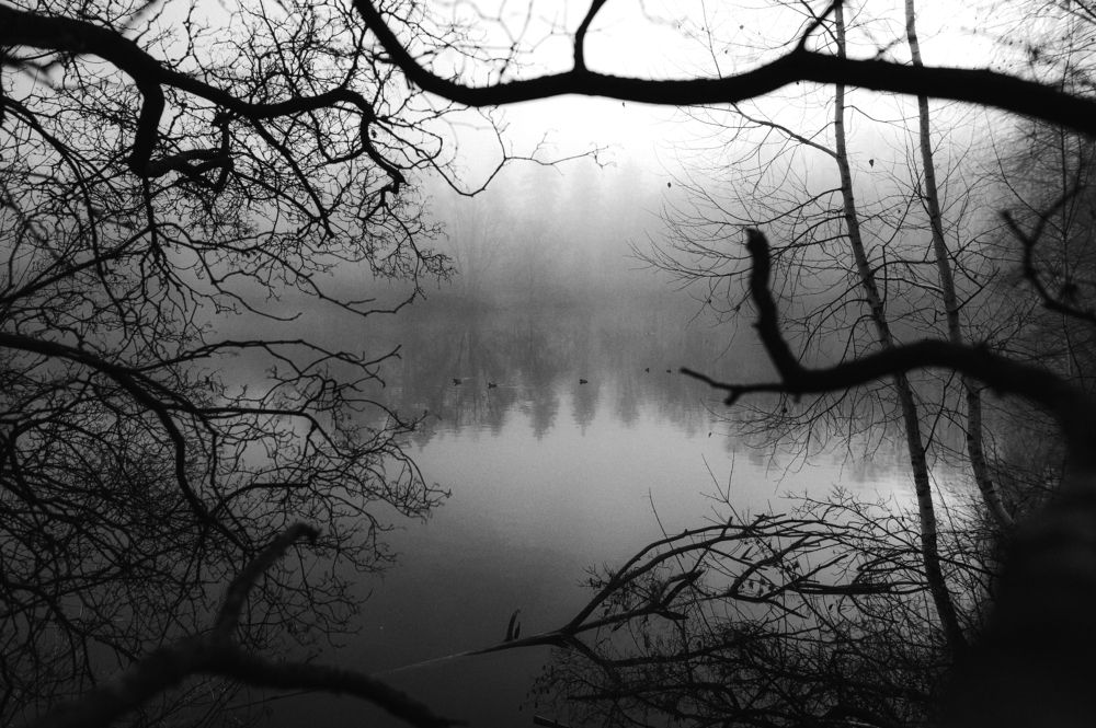 Фотография автора Мигунов Даниил