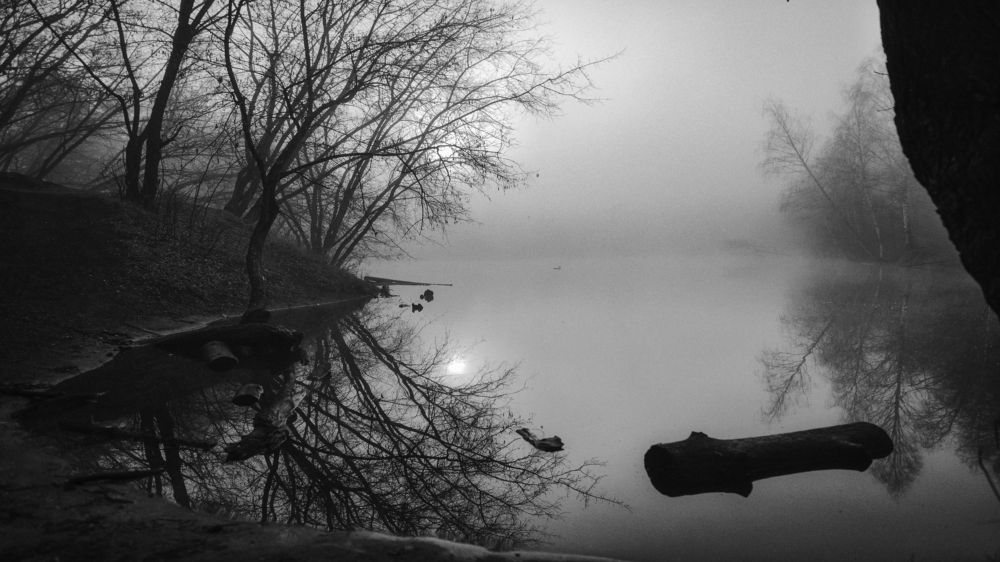 Фотография автора Мигунов Даниил