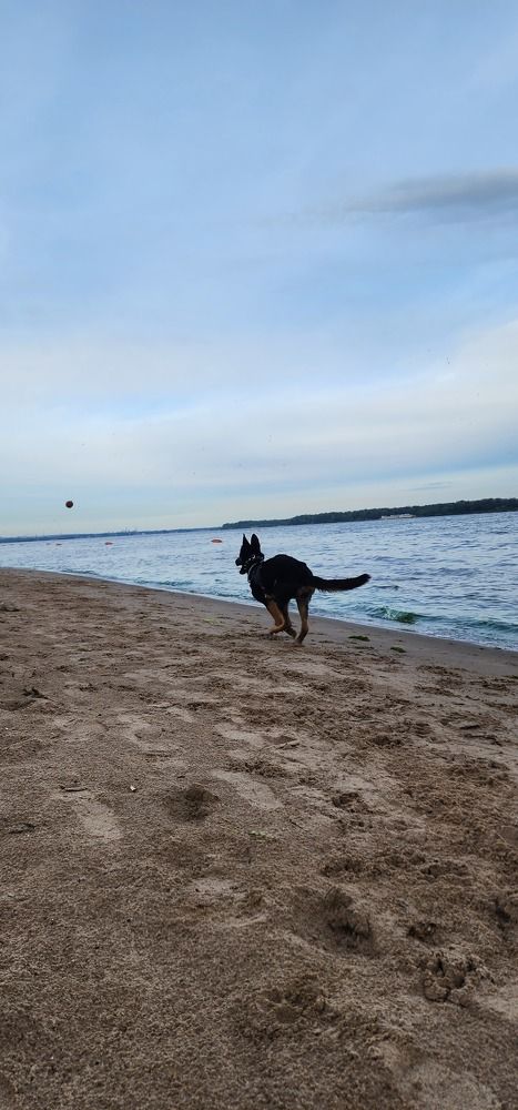 Photograph by Tatiana Denisova