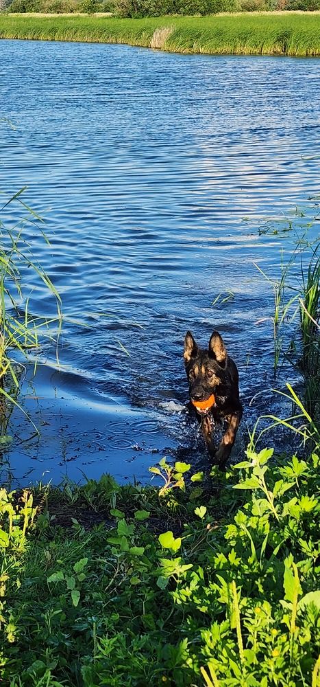 Photograph by Tatiana Denisova