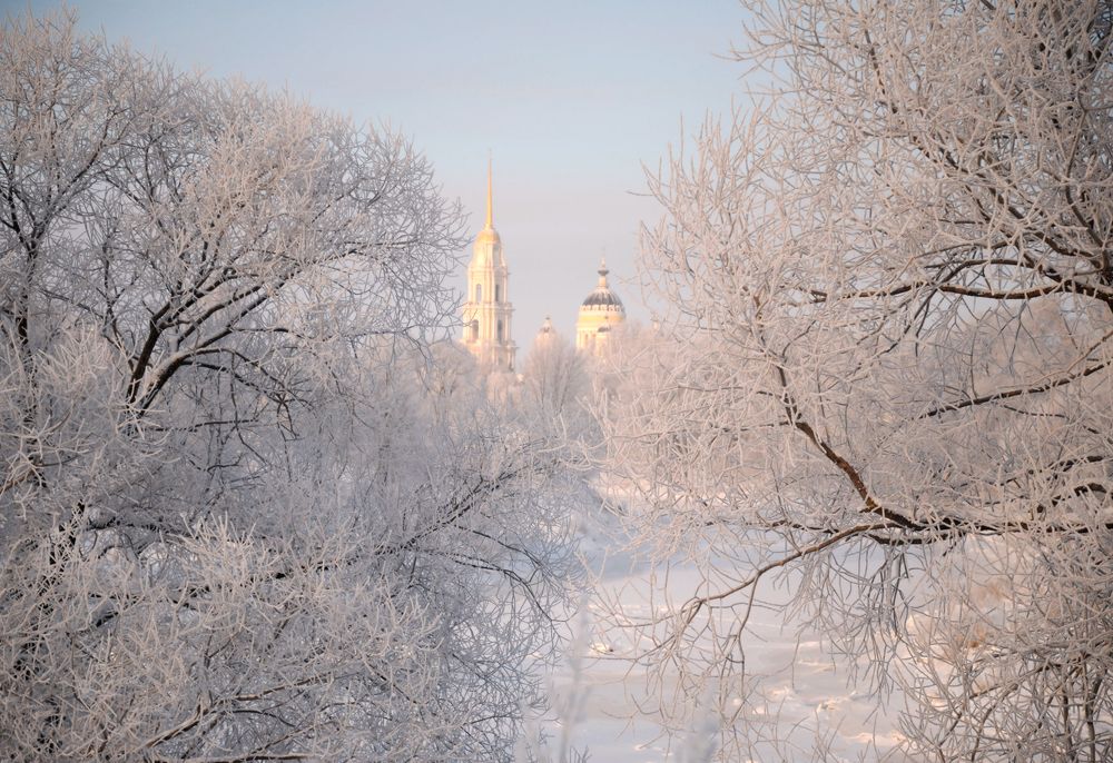 Фотография автора Васильева Дарья