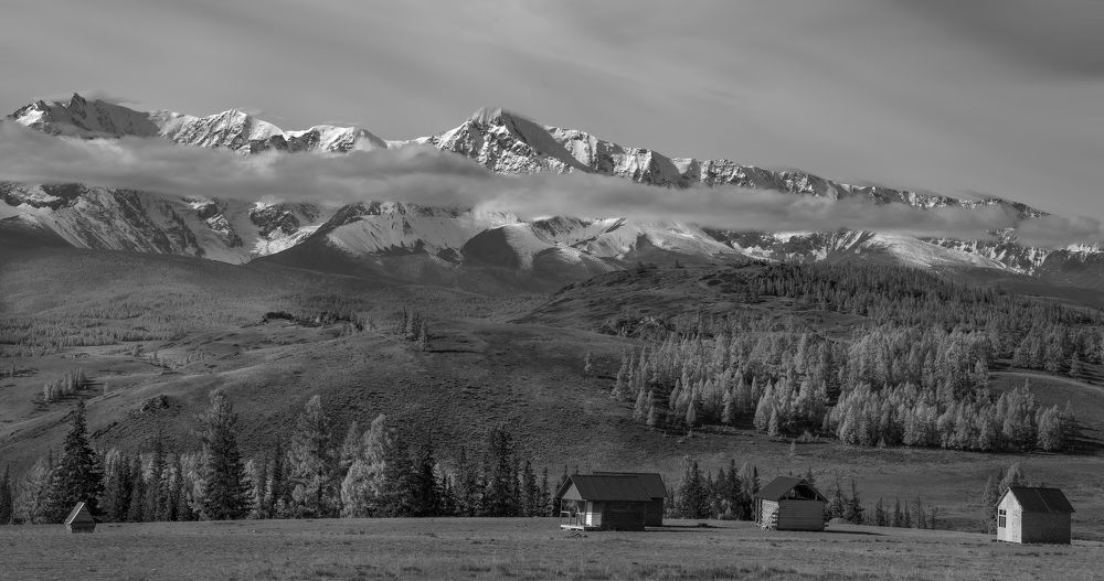 Фотография автора Галина Дейнекина