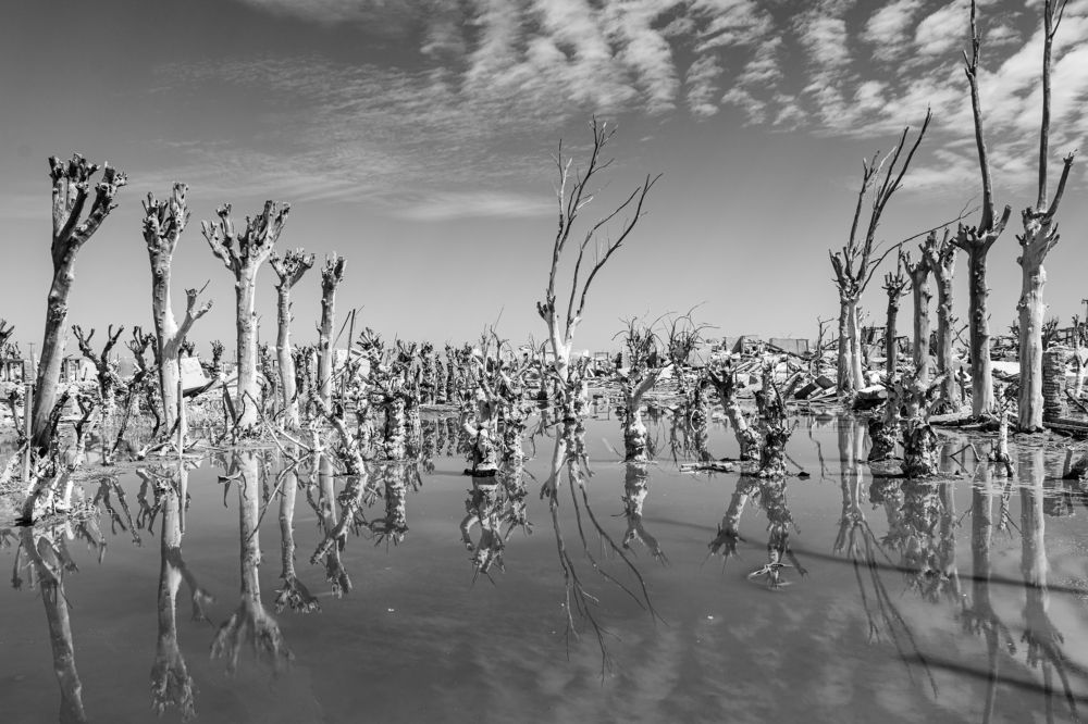 Photograph by gustavo gatto