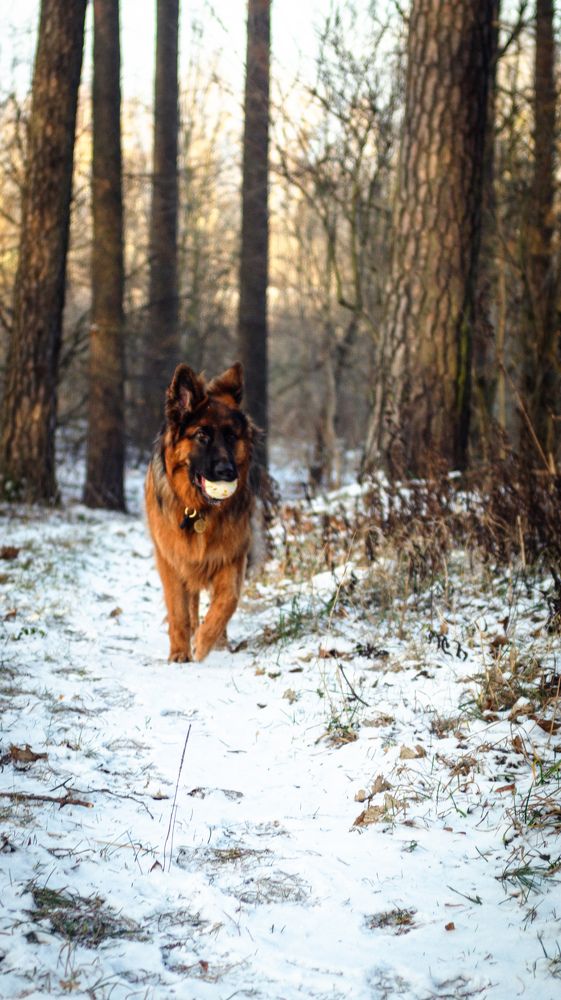 Фотография автора Геннадий Ломеко
