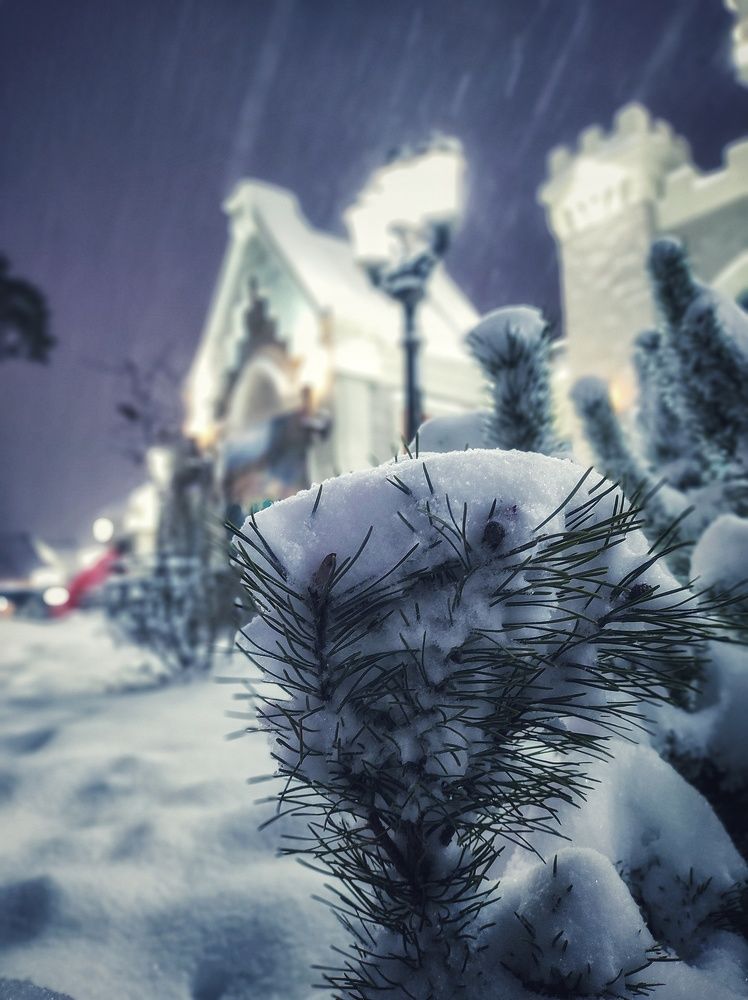 Photograph by Вячеслав Щёголев