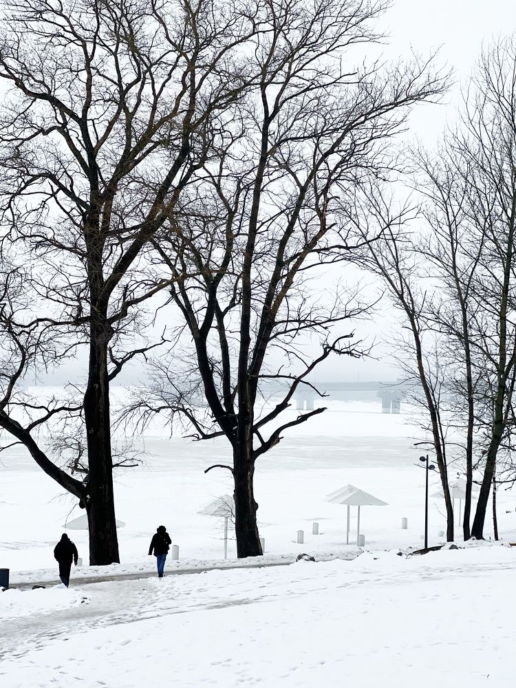 Фотография автора Люда Утина