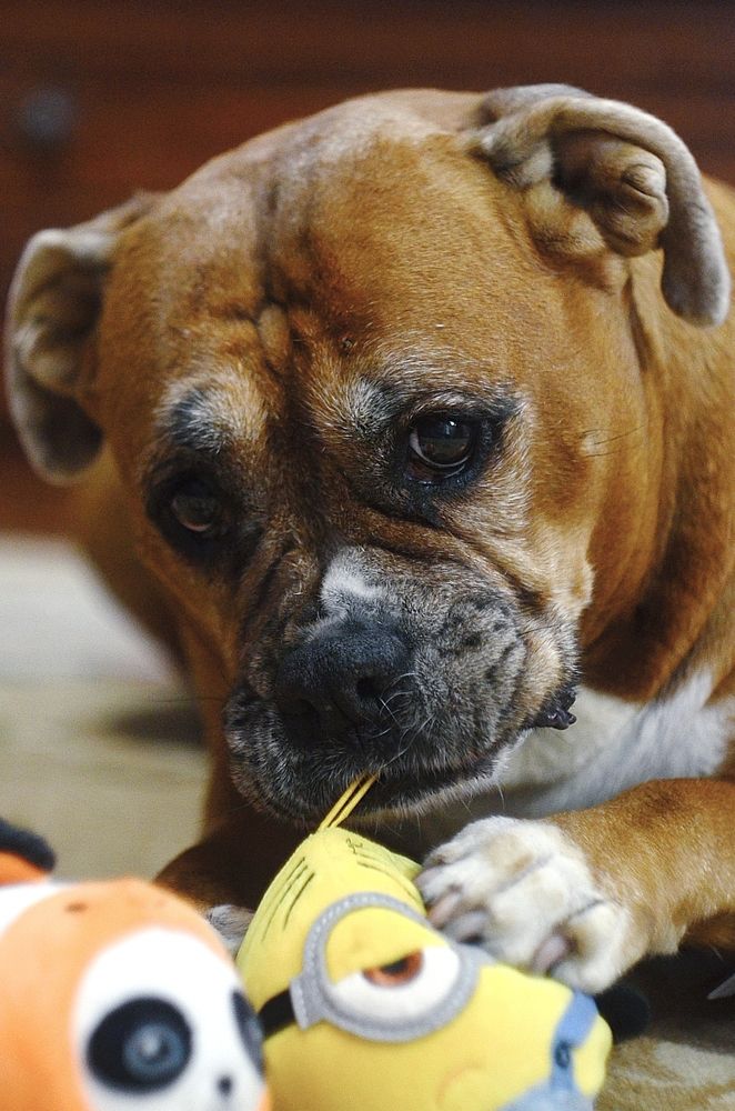 Photograph by Olga Kaydashova