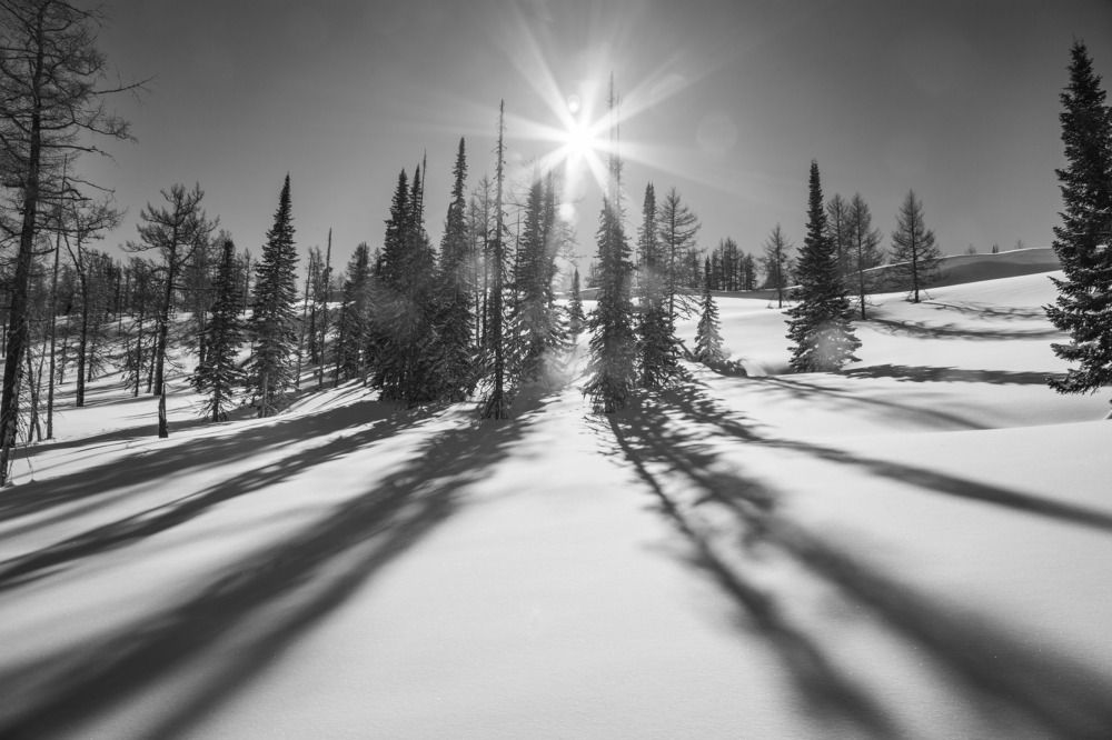 Фотография автора Andrey Shishkalov