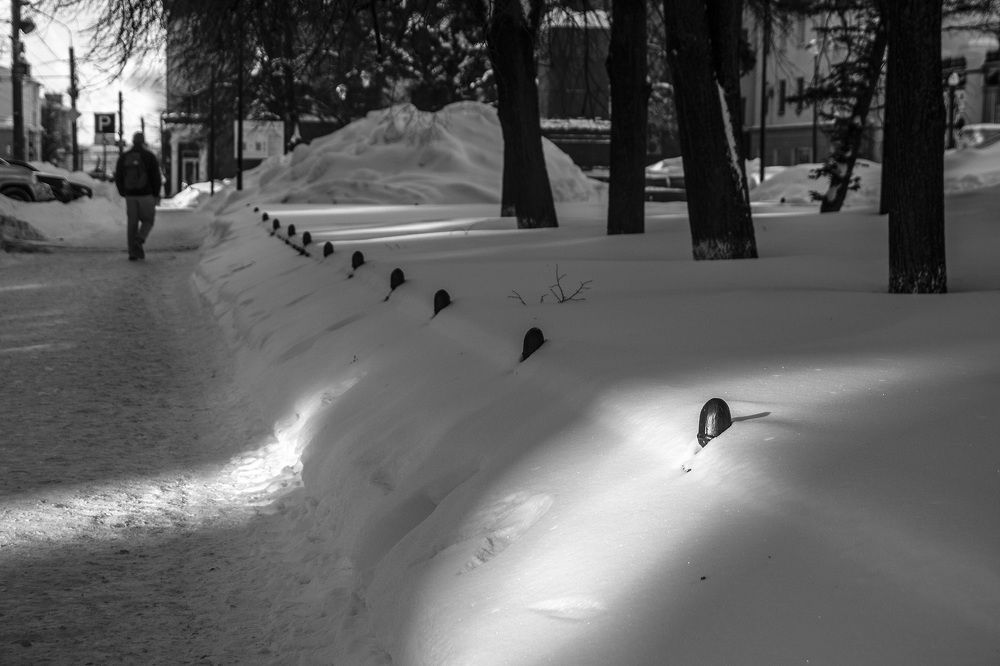 Фотография автора Андрей Рогов