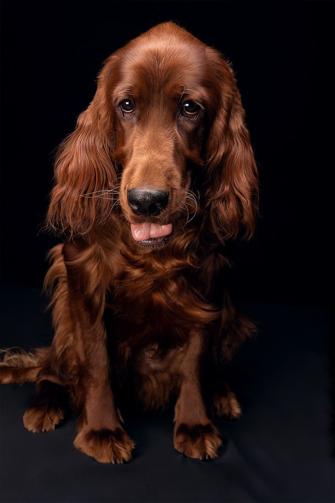 Photograph by Наталья Коржова