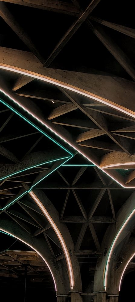 Photograph by Дарина