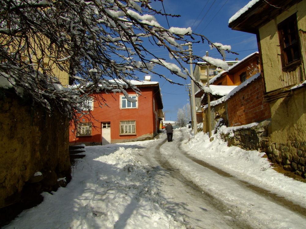 Photograph by Cengiz Yalcin