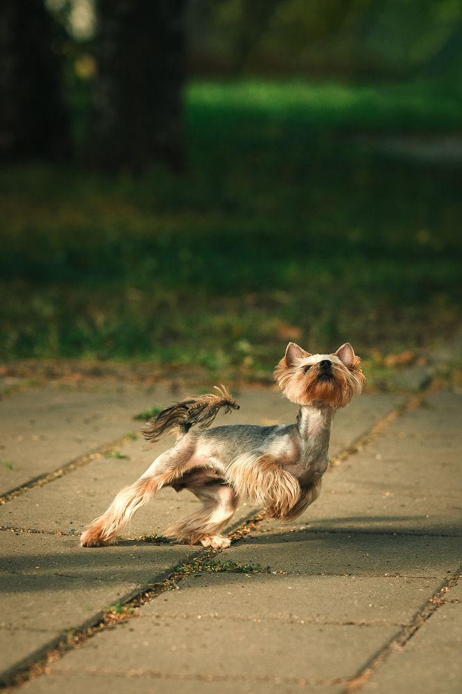 Фотография автора Анжелика