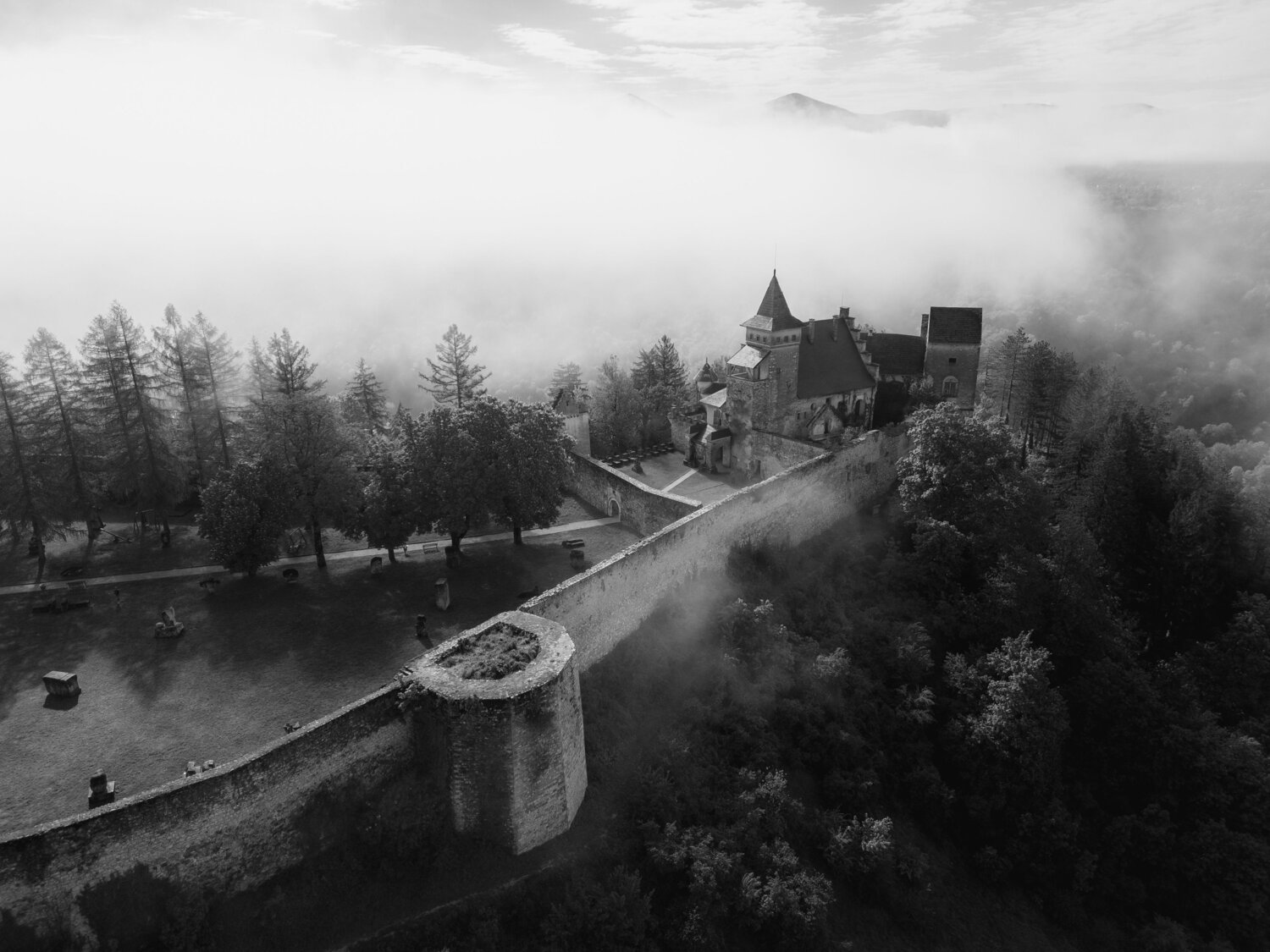 Photo #11635663