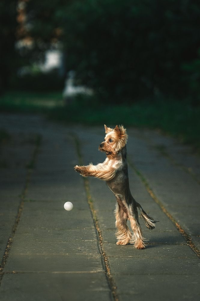 Фотография автора Анжелика