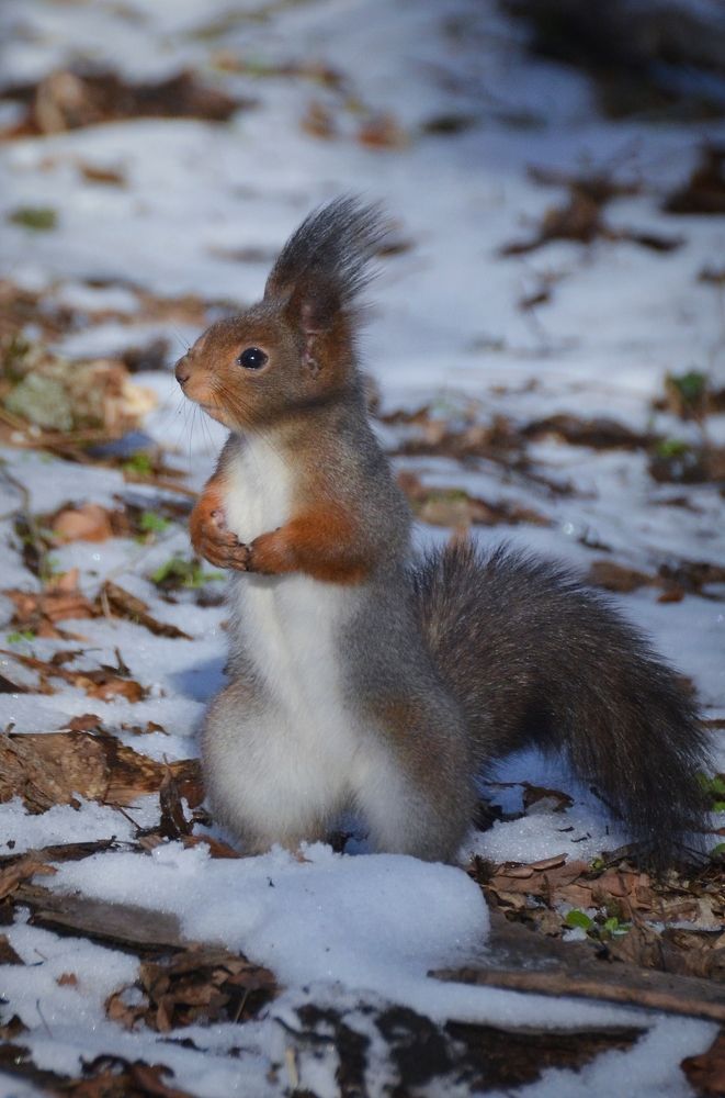 Photograph by Olga Kaydashova