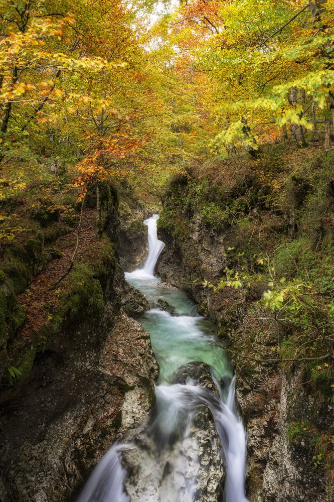 Photograph by Camilla Zocchi