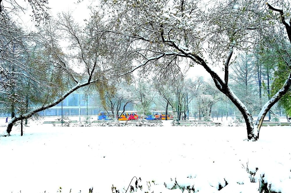 Город в снегу.