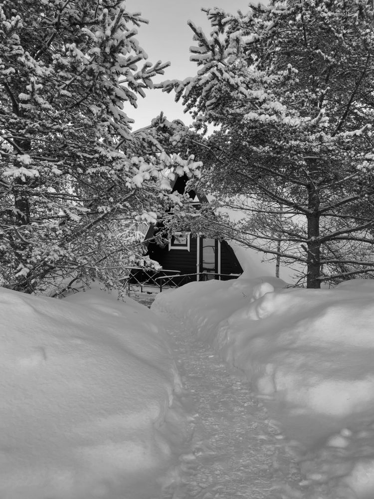 Photograph by Анастасия Щербакова