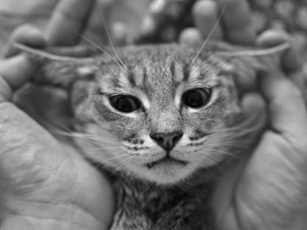 Фотография автора Svetlana Inyusheva