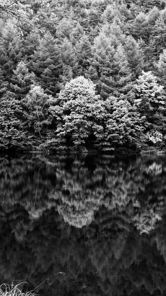 Photograph by Наумова Татьяна