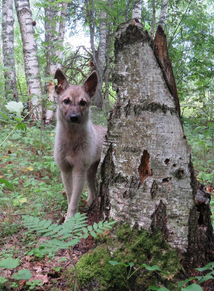 Photograph by Елена Кузина