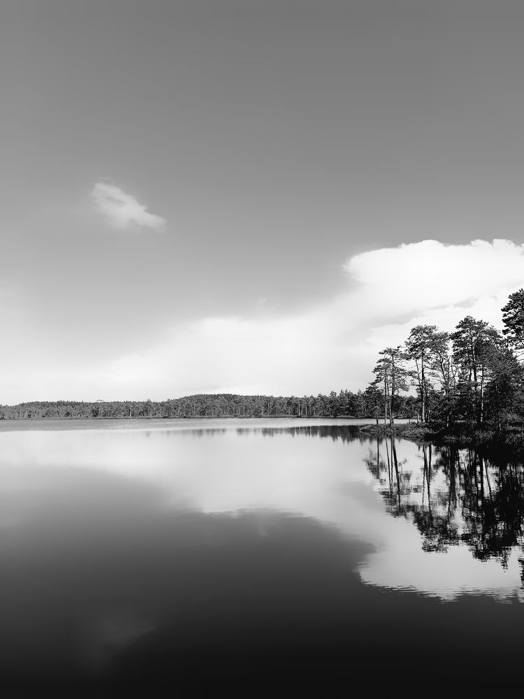 Photograph by Марина Регенспергер