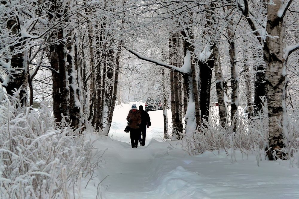 Зима в нашем городе.