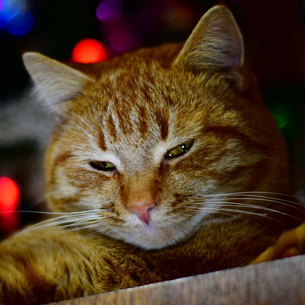 Photograph by Николай Абакумов