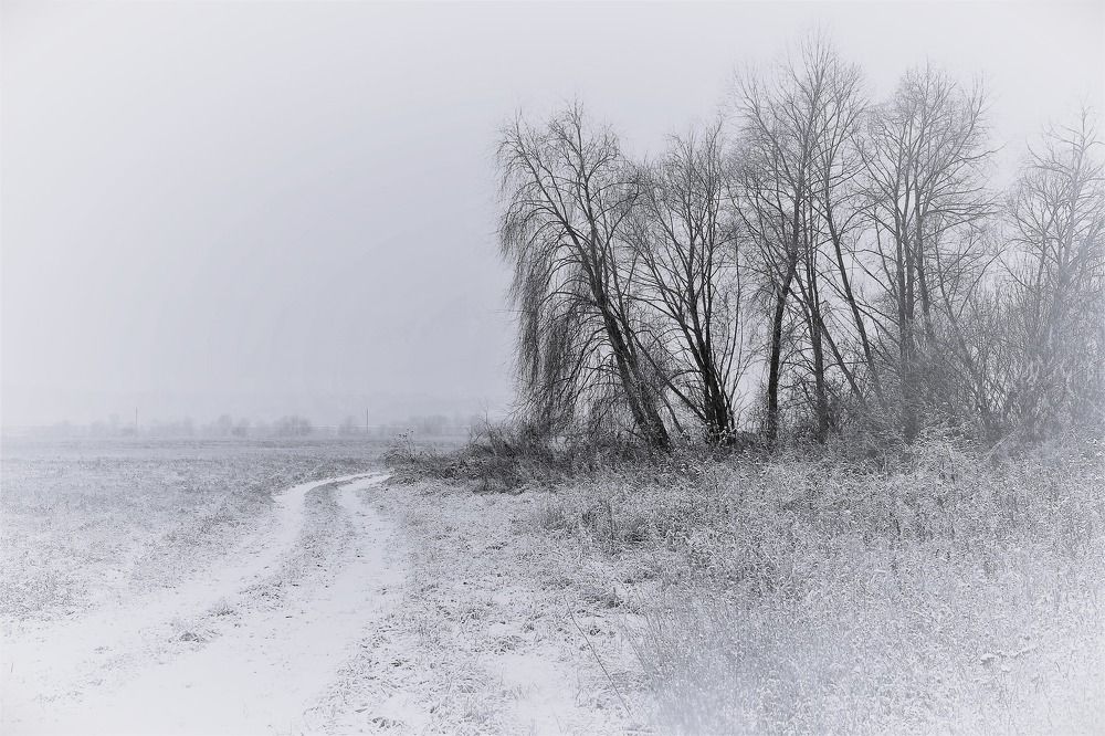 Photograph by Svetlana Gubanova