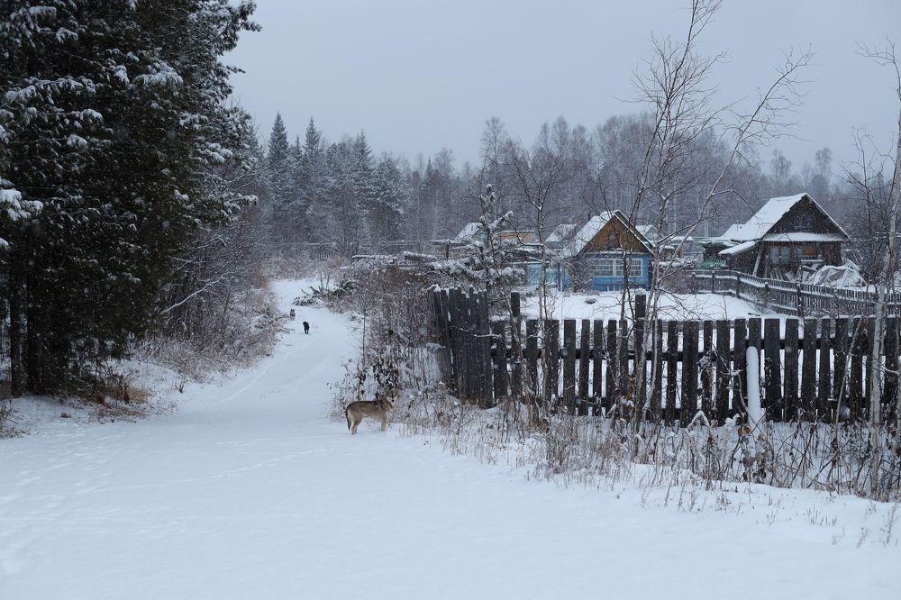 Photograph by Aleksey Maevskiy