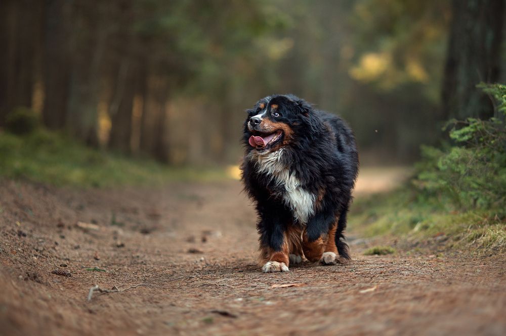 Фотография автора LIUDMILA BABROUSKAYA