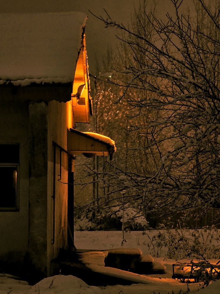 Photograph by Masoumeh Rahimi