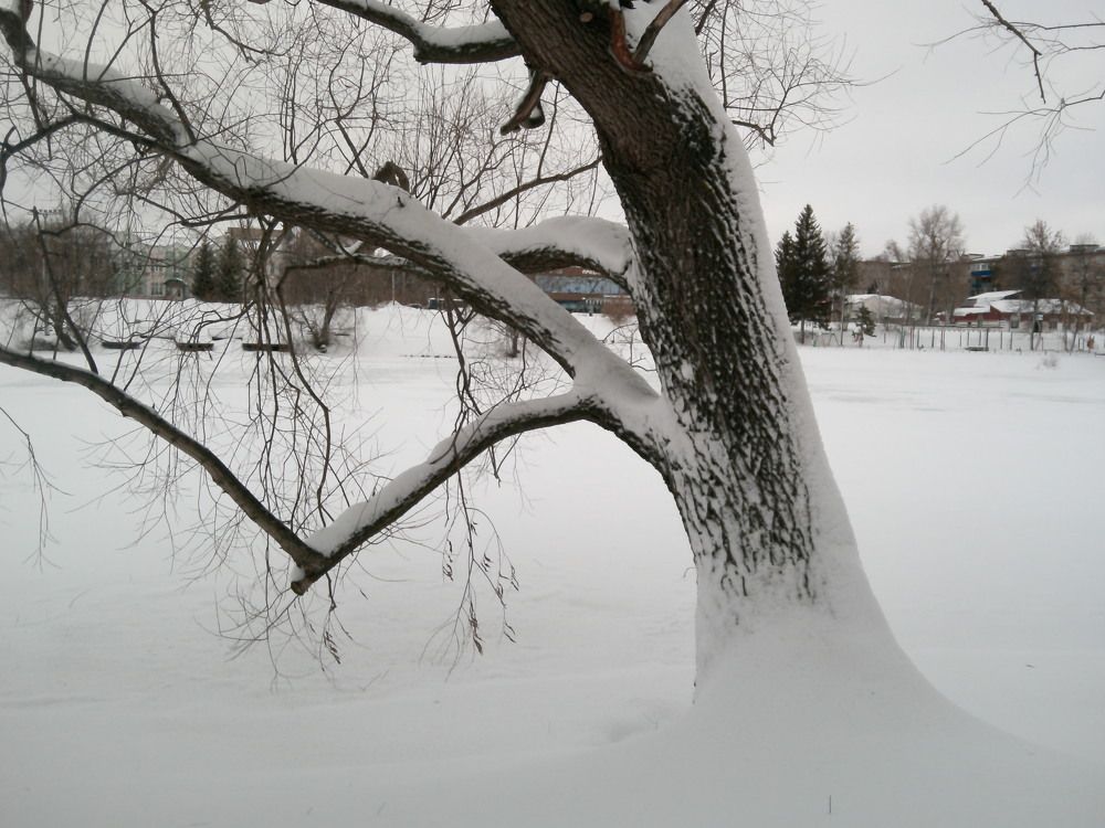 Photograph by Александр Кизим