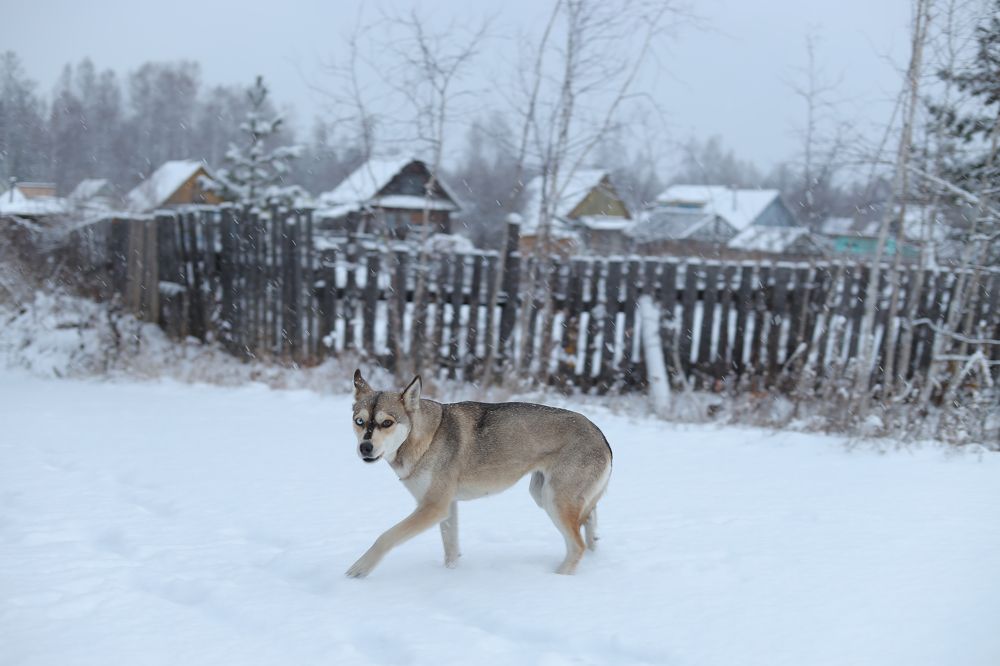 Photograph by Aleksey Maevskiy