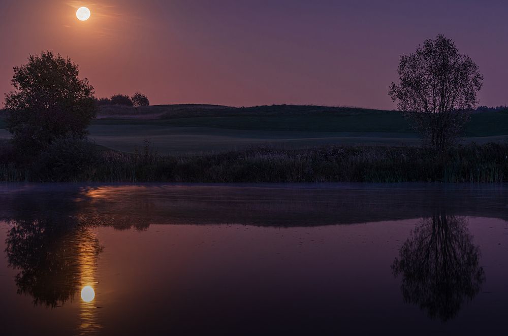 Photograph by Евгений Гонтов