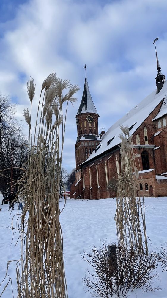 Photograph by Людмила Казак